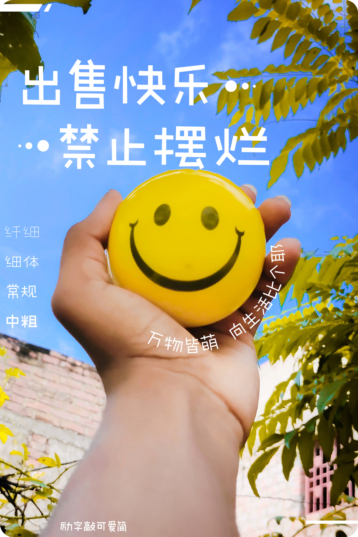 画板 12